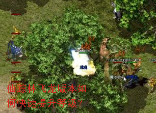 仙踪林飞龙版本如何快速提升等级? 仙踪林飞龙版本如何快速提升等级?