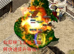 仙踪林飞龙版本如何快速提升等级? 仙踪林飞龙版本如何快速提升等级?