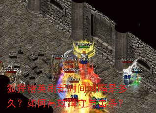 狐狸精英刷新时间间隔是多久?如何高效蹲守与击杀? 狐狸精英刷新时间间隔是多久?如何高效蹲守与击杀?