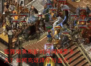狐狸精英刷新时间间隔是多久?如何高效蹲守与击杀? 狐狸精英刷新时间间隔是多久?如何高效蹲守与击杀?