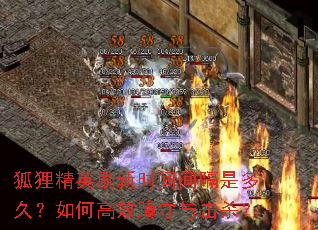 狐狸精英刷新时间间隔是多久?如何高效蹲守与击杀? 狐狸精英刷新时间间隔是多久?如何高效蹲守与击杀?