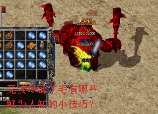 ������޵��ë����Щ��Ϊ��֪��С���ɣ�