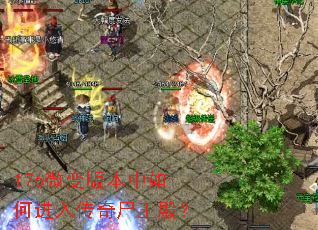 176΢��汾����ν��봫��ʬ���