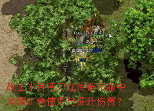 սʿ�����䵶�ڴ���˽���������ȷʹ���������˺���