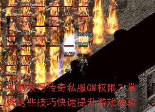 ��λ�ô���˽��GMȨ�ޣ�������Щ���ɿ���������Ϸ����