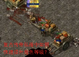 复古传奇私服中如何快速提升角色等级? 复古传奇私服中如何快速提升角色等级?