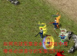 如何高效采集泉水?游戏中有哪些必须遵守的采集法则? 如何高效采集泉水?游戏中有哪些必须遵守的采集法则?