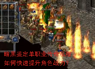 ���ڼ�����ְҵ����˽����ο���������ɫս����