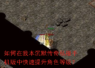 如何在我本沉默传奇私服手机版中快速提升角色等级? 如何在我本沉默传奇私服手机版中快速提升角色等级?