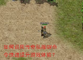 如何运用传奇私服GM命令快速提升游戏体验? 如何运用传奇私服GM命令快速提升游戏体验?