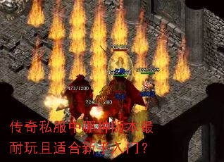 传奇私服中哪种版本最耐玩且适合新手入门? 传奇私服中哪种版本最耐玩且适合新手入门?
