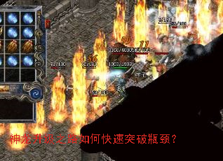 神龙升级之路如何快速突破瓶颈? 神龙升级之路如何快速突破瓶颈?