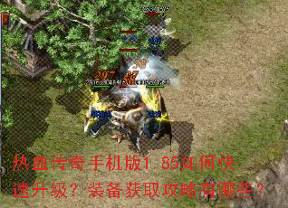 热血传奇手机版1.85如何快速升级?装备获取攻略有哪些? 热血传奇手机版1.85如何快速升级?装备获取攻略有哪些?