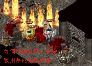 如何快速获取传奇宠物用品的顶级装备? 如何快速获取传奇宠物用品的顶级装备?