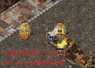 如何快速提升行会贡献度?新手必看攻略在此 如何快速提升行会贡献度?新手必看攻略在此