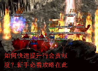 如何快速提升行会贡献度?新手必看攻略在此 如何快速提升行会贡献度?新手必看攻略在此