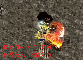 传奇有私服吗?如何选择与入门攻略解析 传奇有私服吗?如何选择与入门攻略解析