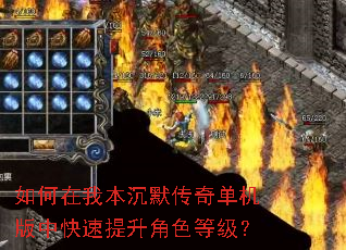 如何在我本沉默传奇单机版中快速提升角色等级? 如何在我本沉默传奇单机版中快速提升角色等级?