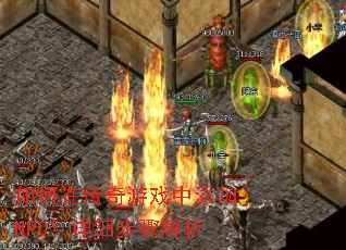 ����ڴ�����Ϸ������NPC����ϸ�������