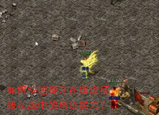 如何快速提升在辉煌征服私服中的角色实力? 如何快速提升在辉煌征服私服中的角色实力?