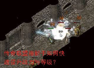 传奇联盟服新手如何快速提升战力与等级? 传奇联盟服新手如何快速提升战力与等级?