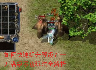 如何快速提升等级?一刀满级系统玩法全解析 如何快速提升等级?一刀满级系统玩法全解析