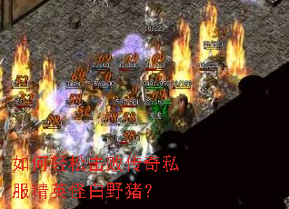 如何轻松击败传奇私服精英怪白野猪? 如何轻松击败传奇私服精英怪白野猪?