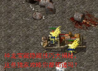 神龙宝藏隐藏技巧大揭秘,这些独家攻略你都知道吗? 神龙宝藏隐藏技巧大揭秘,这些独家攻略你都知道吗?