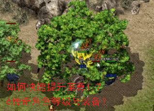 如何快速提升至尊1.76传奇角色等级与装备? 如何快速提升至尊1.76传奇角色等级与装备?