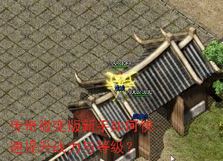 传奇微变版新手如何快速提升战力与等级? 传奇微变版新手如何快速提升战力与等级?