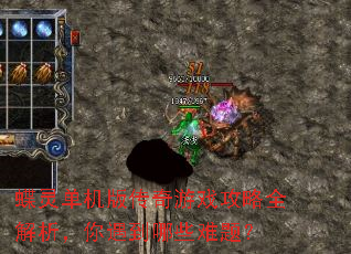 蝶灵单机版传奇游戏攻略全解析,你遇到哪些难题? 蝶灵单机版传奇游戏攻略全解析,你遇到哪些难题?