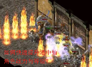 如何快速提升酒中仙角色战力与等级? 如何快速提升酒中仙角色战力与等级?