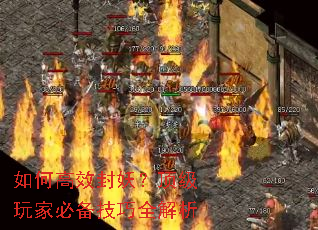 如何高效封妖?顶级玩家必备技巧全解析 如何高效封妖?顶级玩家必备技巧全解析