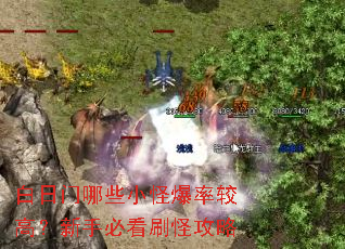 白日门哪些小怪爆率较高?新手必看刷怪攻略 白日门哪些小怪爆率较高?新手必看刷怪攻略