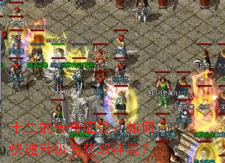 十二的传奇征途:如何快速升级与获取神装? 十二的传奇征途:如何快速升级与获取神装?
