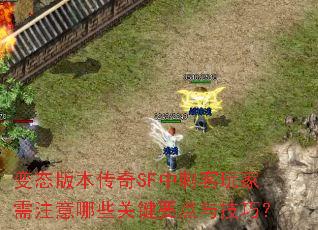 变态版本传奇SF中刺客玩家需注意哪些关键要点与技巧? 变态版本传奇SF中刺客玩家需注意哪些关键要点与技巧?