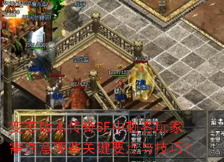变态版本传奇SF中刺客玩家需注意哪些关键要点与技巧? 变态版本传奇SF中刺客玩家需注意哪些关键要点与技巧?