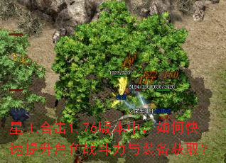 星王合击1.76版本中,如何快速提升角色战斗力与装备获取? 星王合击1.76版本中,如何快速提升角色战斗力与装备获取?