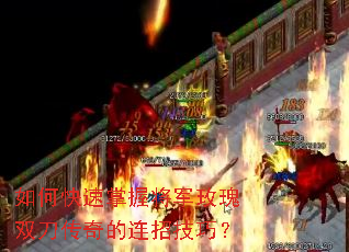 如何快速掌握将军玫瑰双刀传奇的连招技巧? 如何快速掌握将军玫瑰双刀传奇的连招技巧?