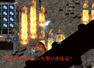��θ�Ч��սwoo����sf����ս��