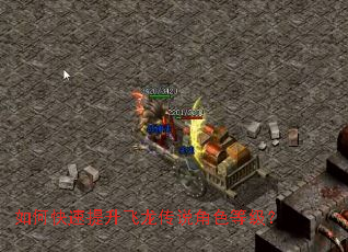 如何快速提升飞龙传说角色等级? 如何快速提升飞龙传说角色等级?