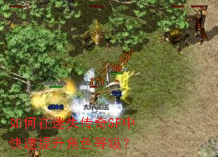 如何在迷失传奇SF中快速提升角色等级? 如何在迷失传奇SF中快速提升角色等级?