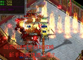 山东CIM传奇游戏攻略:新手如何快速上手? 山东CIM传奇游戏攻略:新手如何快速上手?