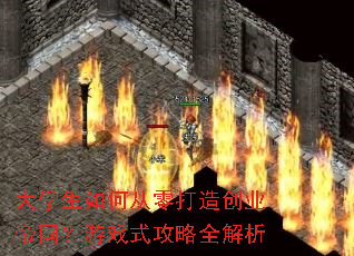 大学生如何从零打造创业帝国?游戏式攻略全解析 大学生如何从零打造创业帝国?游戏式攻略全解析