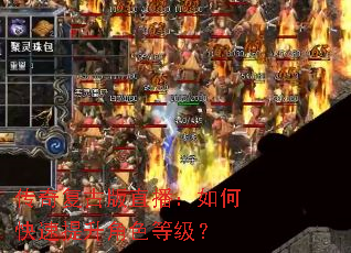 传奇复古版直播:如何快速提升角色等级? 传奇复古版直播:如何快速提升角色等级?