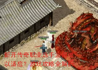 新开传奇职业选手为何难以适应?游戏攻略全解析 新开传奇职业选手为何难以适应?游戏攻略全解析