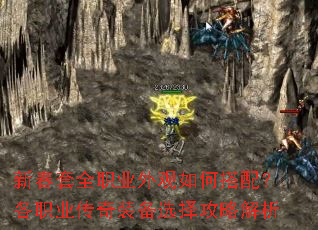 �´���ȫְҵ�����δ��䣿��ְҵ����װ��ѡ���Խ���