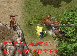 热血传奇sf蝎卫首领怎么打?精英怪攻略全解析 热血传奇sf蝎卫首领怎么打?精英怪攻略全解析