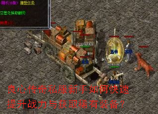 良心传奇私服新手如何快速提升战力与获取稀有装备? 良心传奇私服新手如何快速提升战力与获取稀有装备?