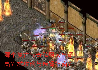 哪个复古传奇私服人气最高?求攻略与选择指南? 哪个复古传奇私服人气最高?求攻略与选择指南?